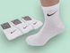 12 пар в упаковці шкарпетки середні білі NIKE 41-45р. 2186413000 фото 1
